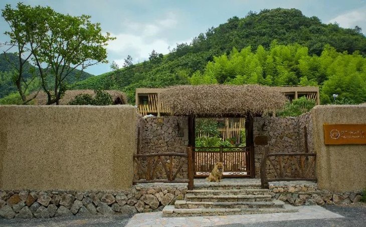 绝美"治愈系"花园民宿——莫干山 遥远的山