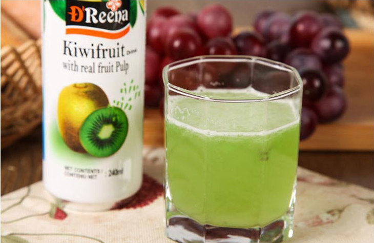 马来西亚进口特丽娜果肉果汁清真饮料240ml听