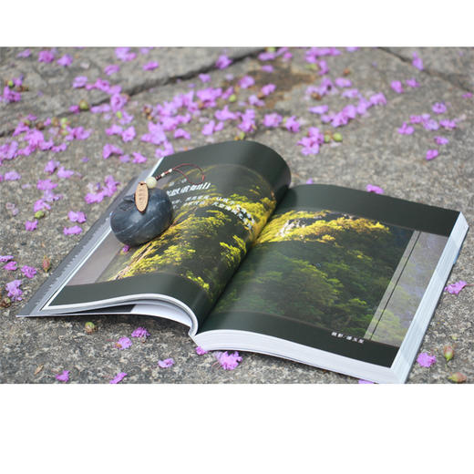 《孝的真谛》再版 商品图3