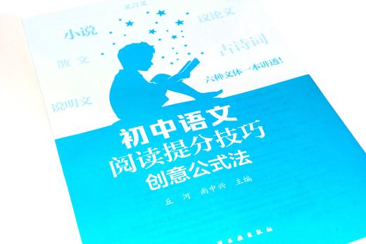初中语文阅读提分技巧. 创意公式法 商品图3