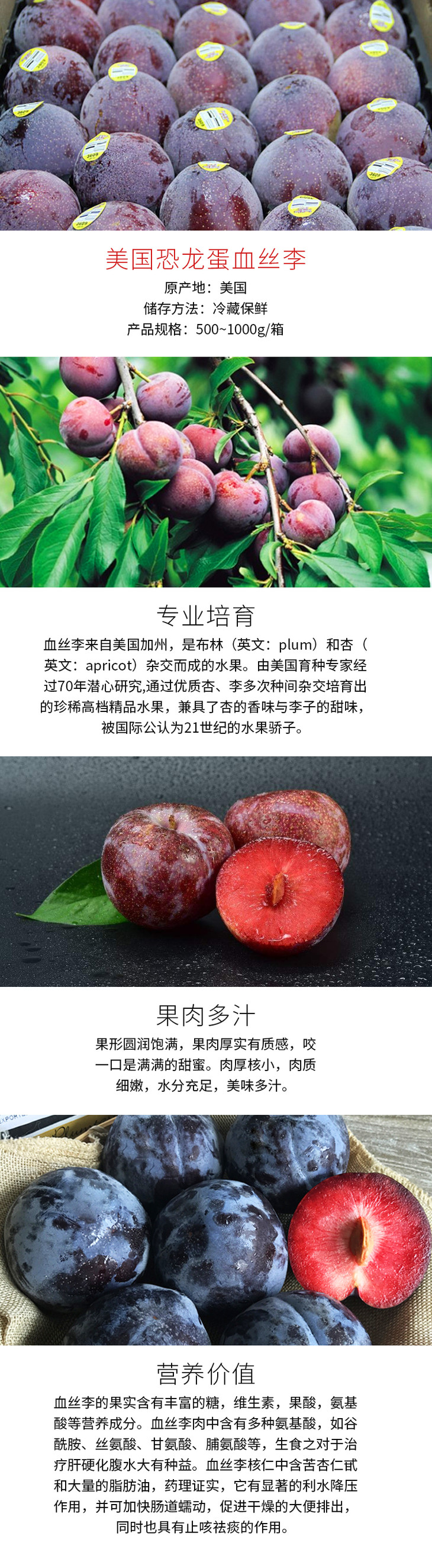 血丝李子简介图片