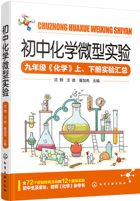 初中化学微型实验