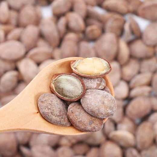 散称瓜蒌籽500g   原味/奶油味 商品图1