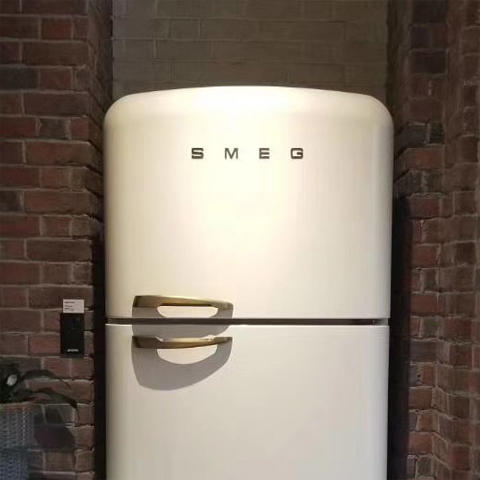 意大利SMEG FAB50 复古50年代双门冰箱 影视大片随处可见的高颜值冰箱 商品图1