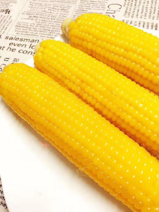 2025塑封黄金小粒后院黄金小粒小玉米【塑封装全国可发】【单独塑封装】【上锅蒸25分钟左右】，粒粒软糯，香甜细腻  基地直邮 商品图0