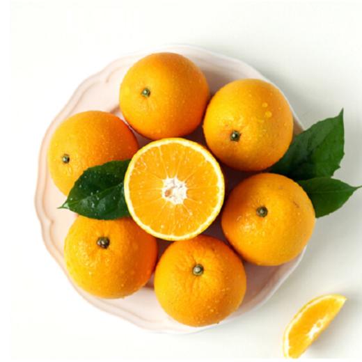 帮卖精选∣赣南脐橙 富含 维生素C 橙香迷人 肉质脆嫩多汁 酸甜可口 新鲜直达 商品图3