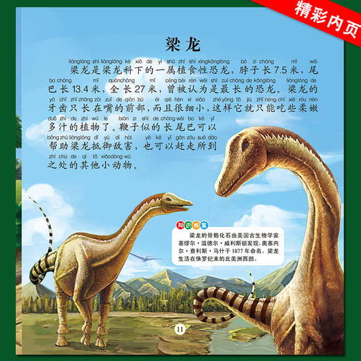 恐龙大探索全6册 彩图注音版 大量精美别致的插画 形象生动的语言