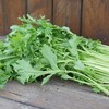 生态雪里蕻 | 绿家自产*ecological potherb mustard | Self-production 商品缩略图2