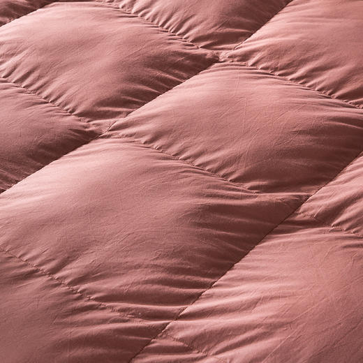 95%白鹅绒羽绒被芯 80支全棉贡缎布料 秋冬保暖被子 2 豆沙色 200*230