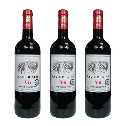 法国拉维之星V6干红葡萄酒750ml/瓶（进口酒）（新老包装随机发货） 商品图0