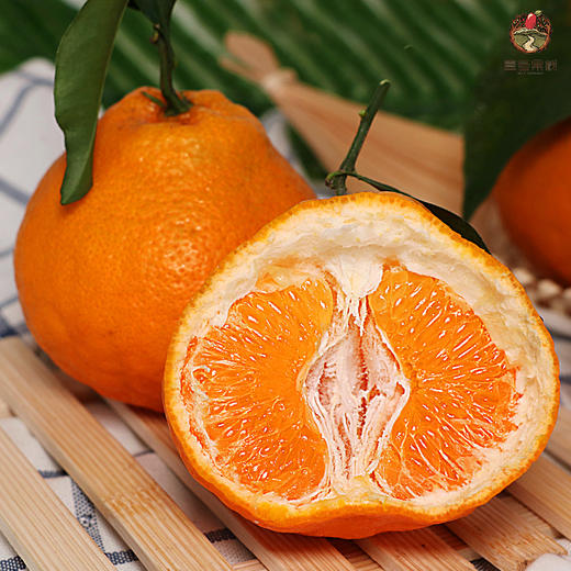 不知火【件】 商品图0