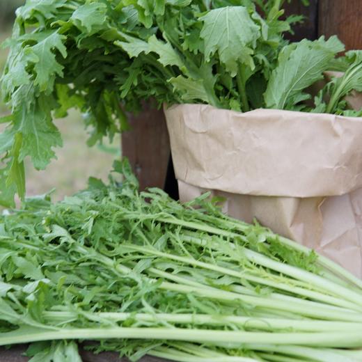 生态雪里蕻 | 绿家自产*ecological potherb mustard | Self-production 商品图1