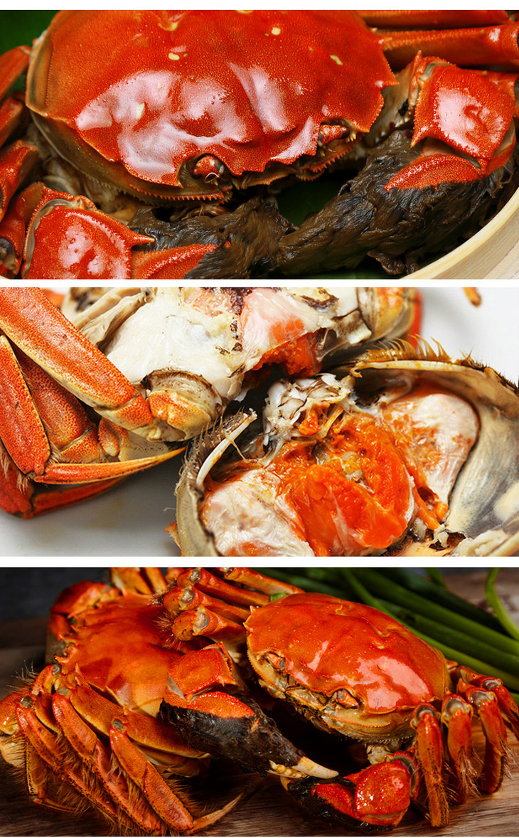 寻源坊丨江苏兴化新鲜活大闸蟹~膏满肉厚