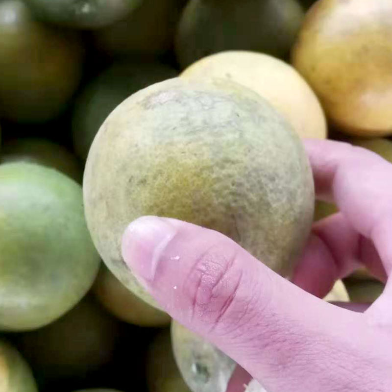 玉溪元江【花皮橙】约2.5kg/4kg/5kg/箱多种规格可选
