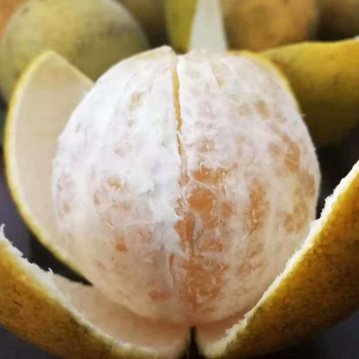 玉溪元江【花皮橙】约2.5kg/4kg/5kg/箱多种规格可选 商品图1