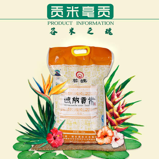 德宏芒市  傣家香软米，遮放贡-谷魂大米, 10kg/袋 商品图0