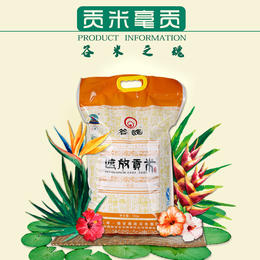 德宏芒市  傣家香软米，遮放贡-谷魂大米, 10kg/袋