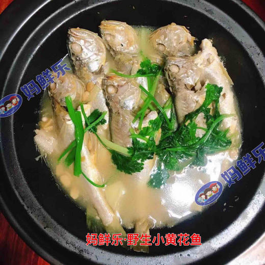 【野生小黄花鱼】 野生海捕，渔船每日捕捞而归，市场上买不到的纯野生小黄花鱼！ 商品图3