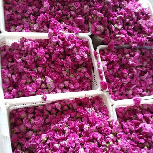 平阴玫瑰纯露 商品图1