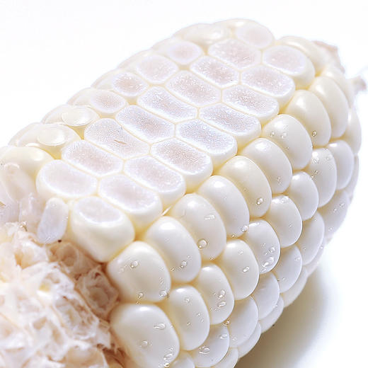 漳州牛奶玉米4根 可生吃2018当季新鲜水果白玉米 商品图4