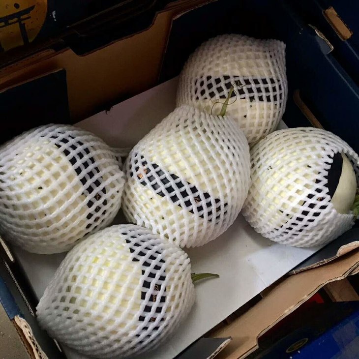 日本月露密瓜条纹瓜网纹瓜 一盒5只装