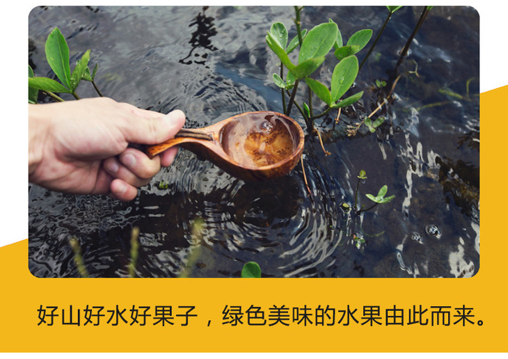 四川眉山爱媛38号果冻橙 5斤装