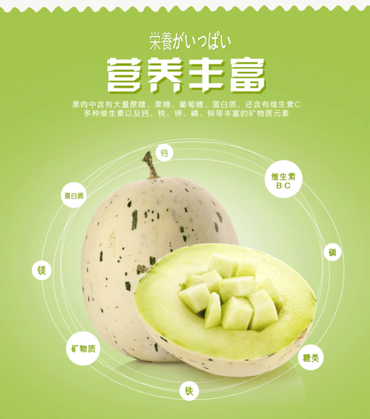 日本月露密瓜条纹瓜网纹瓜 一盒5只装