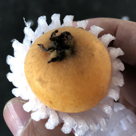 白富美·蜜汁枇杷
品质巅峰！个个漂亮，光洁无斑，柔软多汁！真的已经很甜[耶]可以放心购买哦[嘿哈] 商品图6