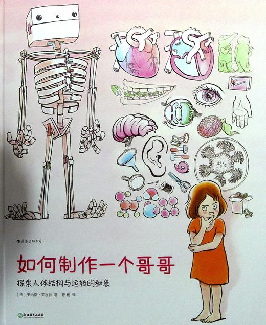如何制作一个哥哥:探索人体结构与运转的秘密 商品图0