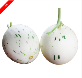 （永久下架）日本月露蜜瓜 5只装