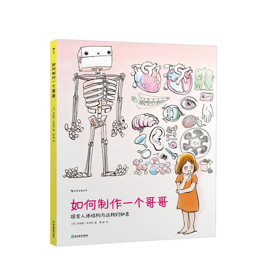 如何制作一个哥哥 探索人体结构与运转的秘密 7-10岁 童书科普百科 商品图0