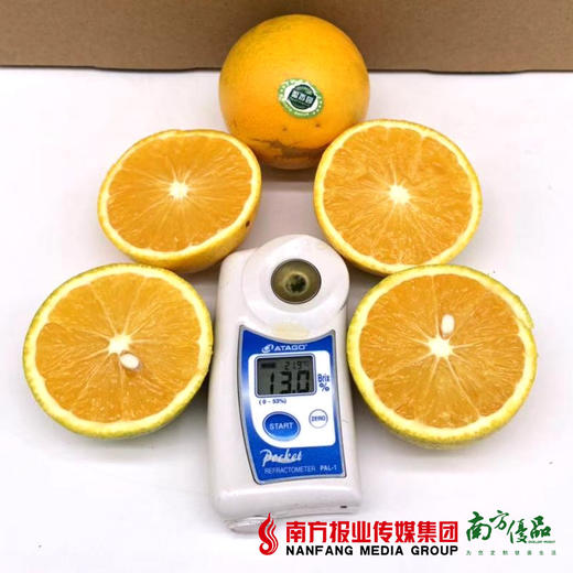 【软嫩多汁】盈香园3000青橙 果径约65mm  约10斤/箱 商品图1