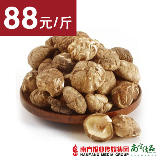 【味道鲜美】云南野生香菇菌  干货  1斤 商品图0