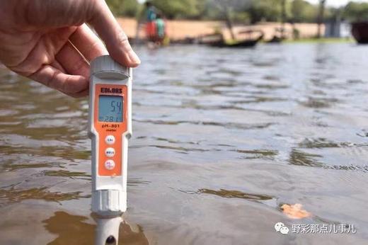 亚马逊复合益生菌第三代 商品图8