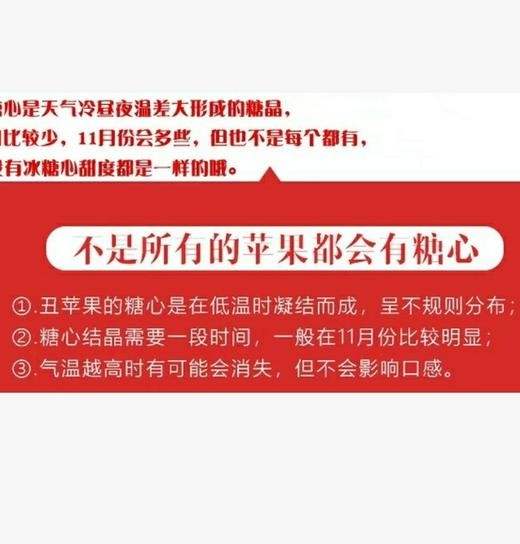 现货新疆阿克苏苹果 净寄外地运费自付重10斤 商品图3