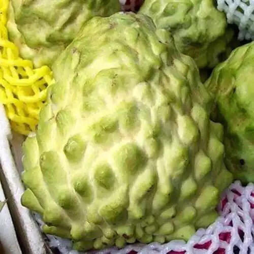 泰国释迦 5A果 商品图5