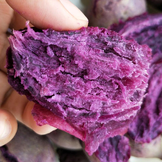 高山紫薯有机种植香甜粉糯皮薄光滑细腻无茎抗血糖减脂吃它