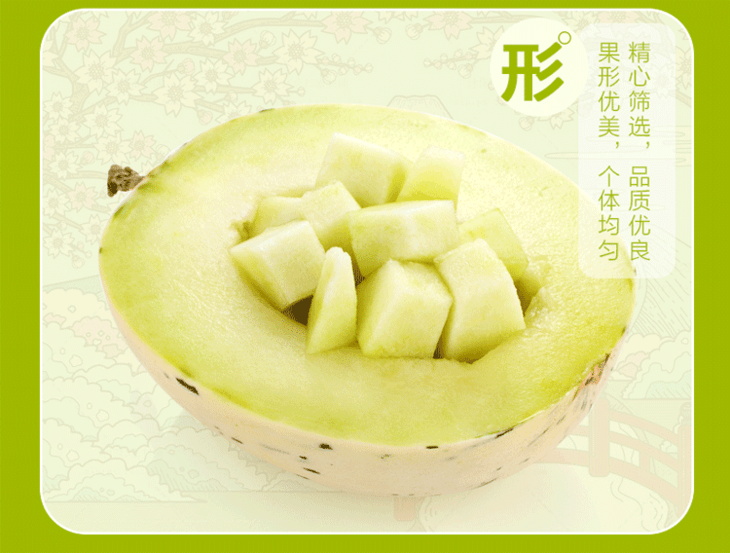 日本月露密瓜条纹瓜网纹瓜 一盒5只装