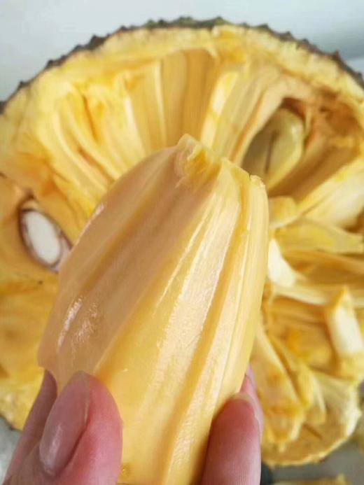 需提前预定现剥菠萝蜜家庭装500克盒