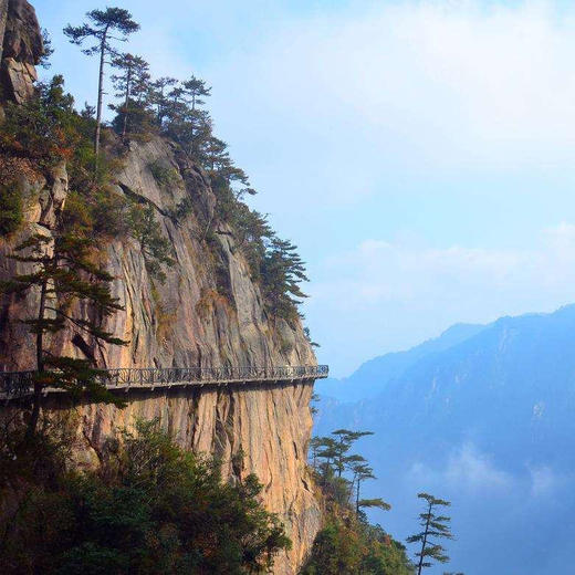 12.14-15大明山走高空栈道，赏太子尖雾凇云海，银装素裹（上海2日线） 商品图2