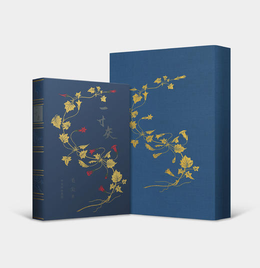 【储值会员专享】《一寸灰》典藏版（蓝色） 商品图0