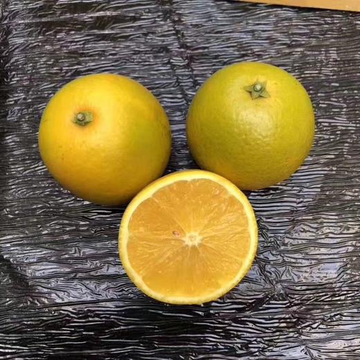 高原王子橙 纯甜 冰糖橙 2号~4号果  整箱净果10斤】 商品图1