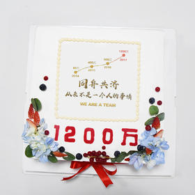 【定制DZ001】14英寸 企业/公司  开业/年会/庆典/定制蛋糕