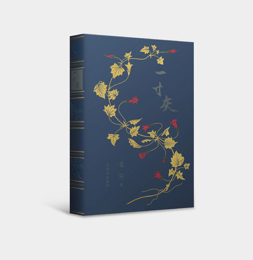 【储值会员专享】《一寸灰》典藏版（蓝色） 商品图1