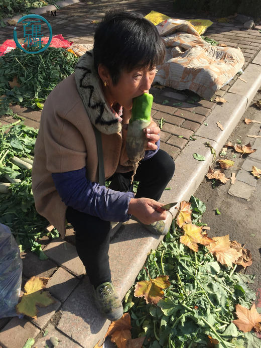 潍县萝卜 冰淇淋萝卜 正宗核心产地 萝卜界的翘楚 冬吃萝卜生吃最棒  包邮 |百里食 商品图6