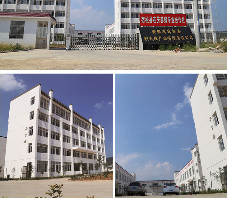 刘氏哈蜜 高浓度天然蜂巢素 高品质 5年以上老巢蜜