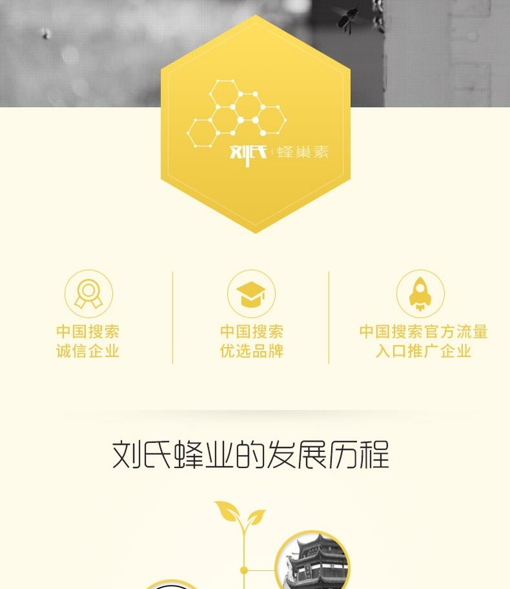 刘氏哈蜜 高浓度天然蜂巢素 高品质 5年以上老巢蜜