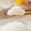 【正宗东北大米系列】 稻花香米 五常大米 20斤 商品缩略图3