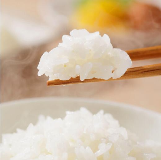【正宗东北大米系列】 稻花香米 五常大米 20斤 商品图3