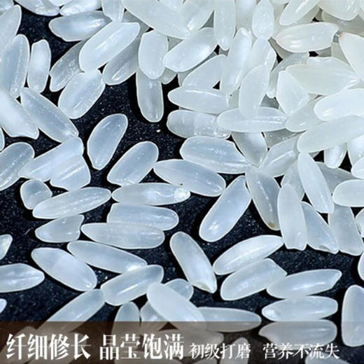 【正宗东北大米系列】 稻花香米 五常大米 20斤 商品图4